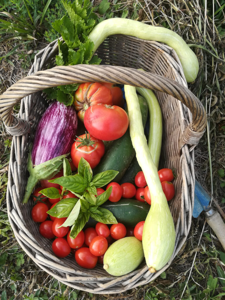 agriturismo zenestrin finale ligure