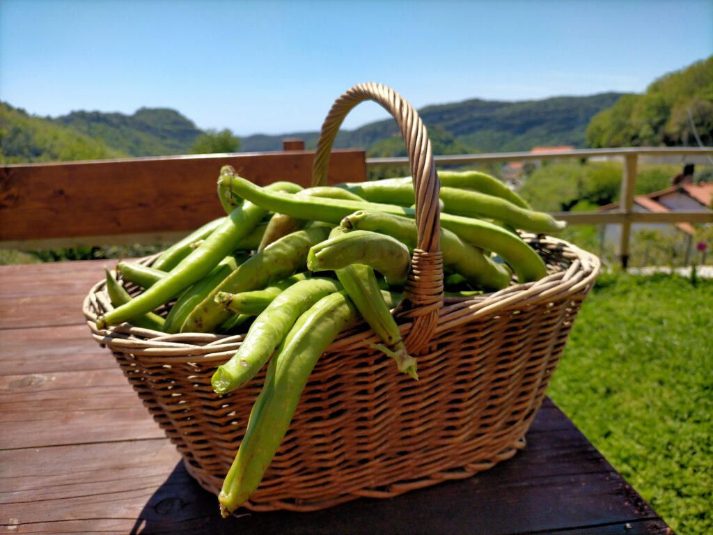 agriturismo zenestrin finale ligure